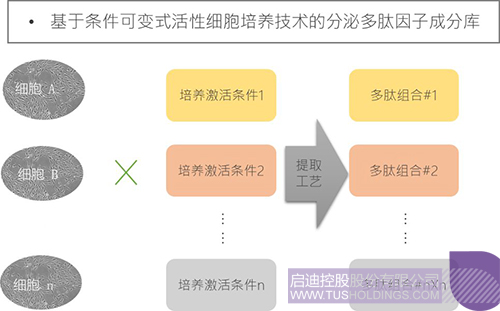 메이저 토토 사이트
