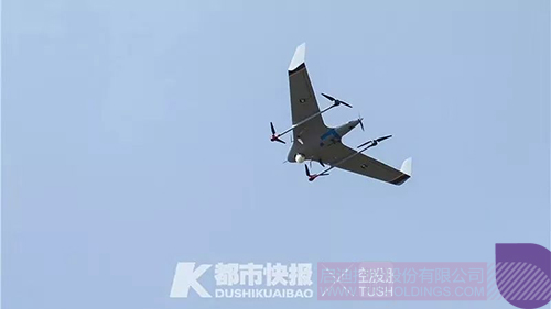 토토 베이