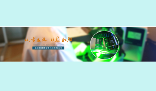 사설 사설 토토