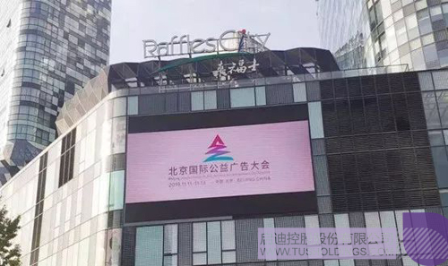 토토 사이트