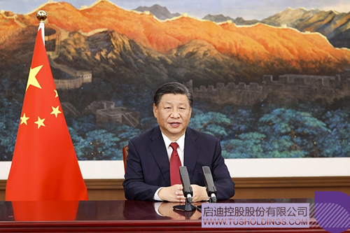 A2CDCFC23E479864B5CB061962CE3655 COPY.JPG