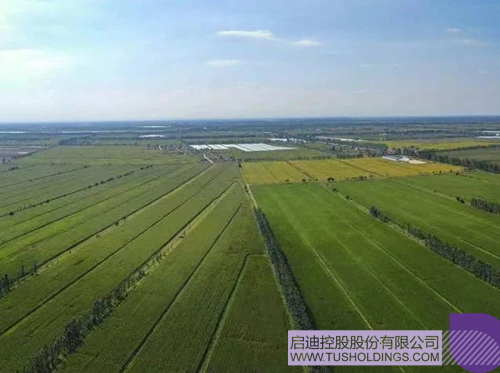 wechat picture_20240828102011c.jpg